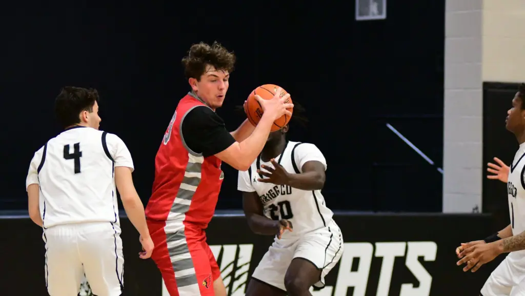 dsc_2562-e1769652605905556410