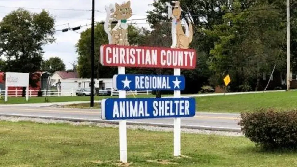 020226-animal-shelter-1-jpg