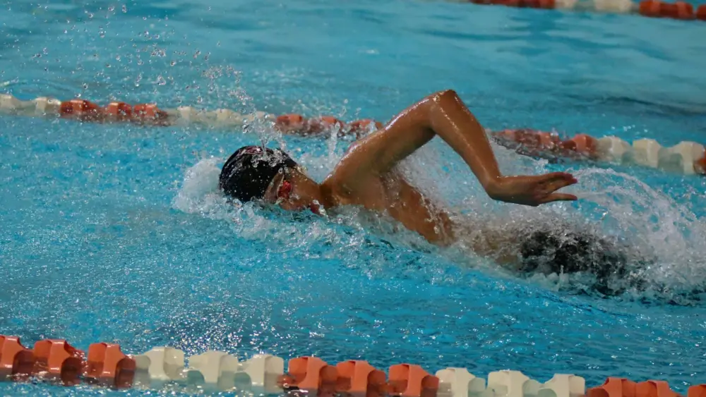 dsc_4127-e1770126458924195868