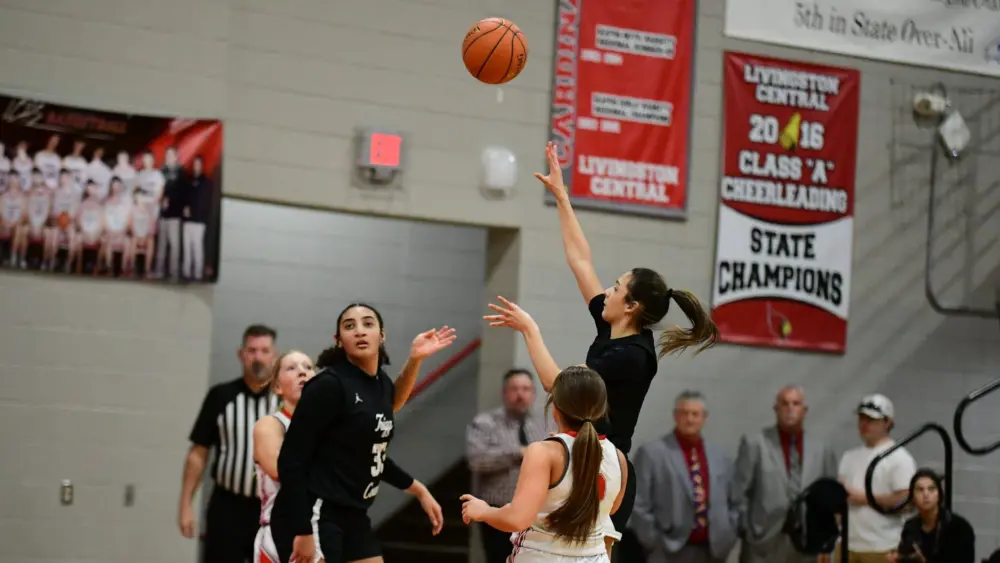 dsc_7937-e1770703325891403731