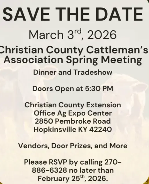 screenshot-2026-02-14-at-7-33-31-pm-png