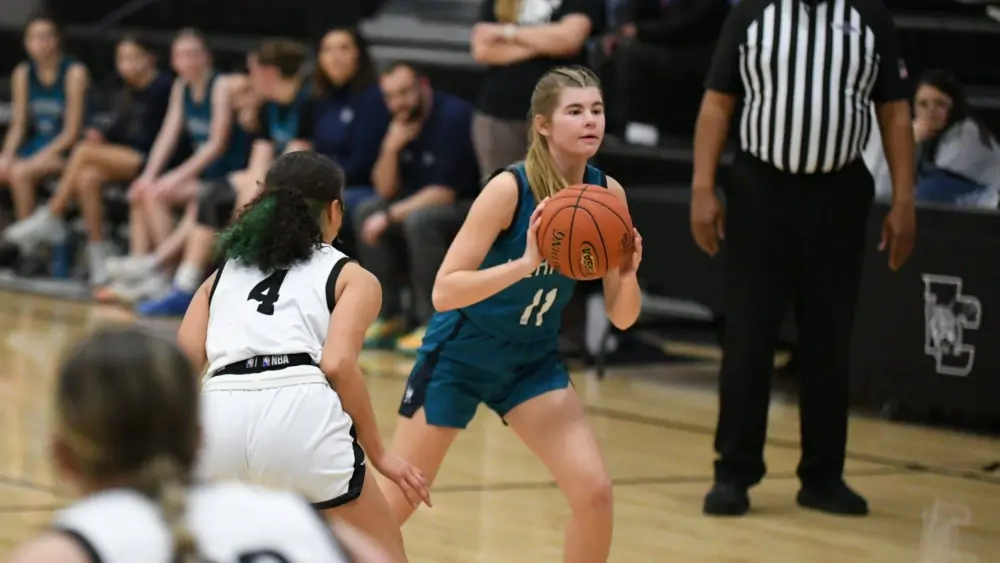 dsc_0214-e1771453443884794984