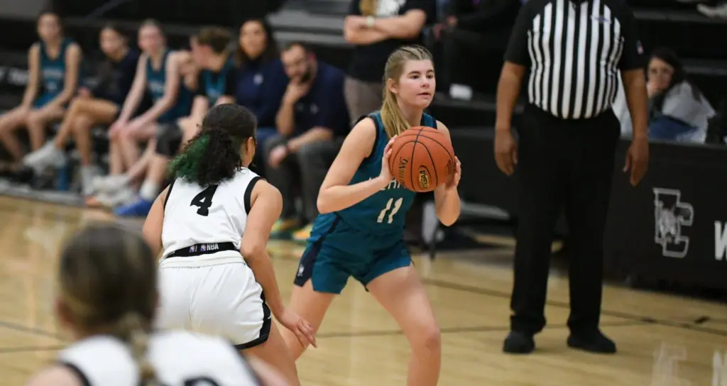 dsc_0214-e1771453443884794984