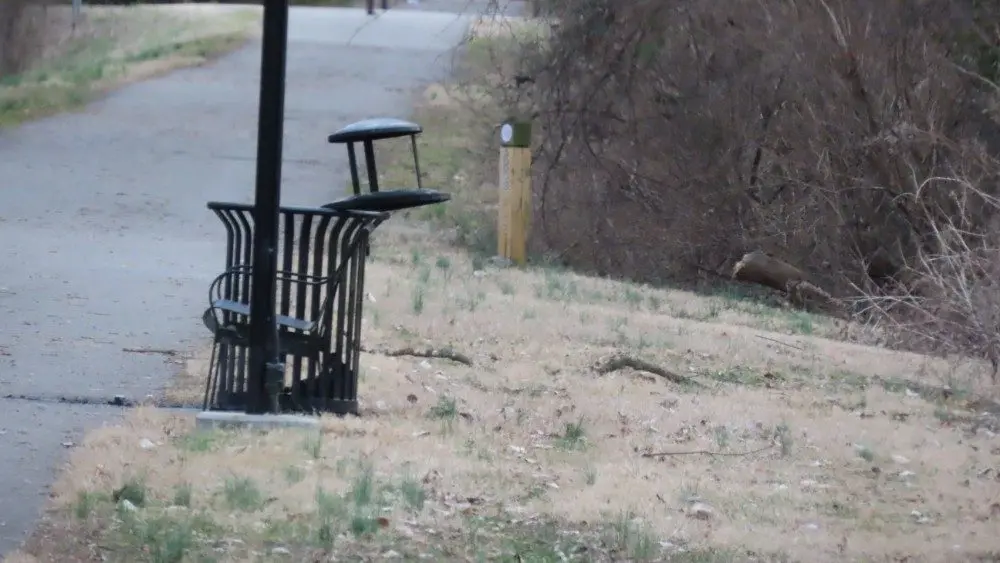 img_1037_copy_1000x563_1-jpg