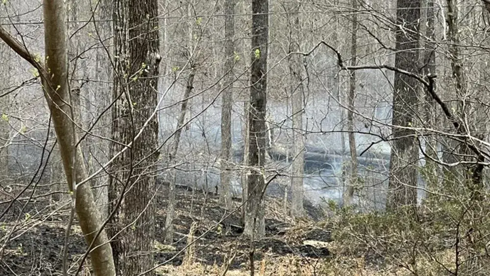 03-29-25-lbl-wildfire-jpg-2