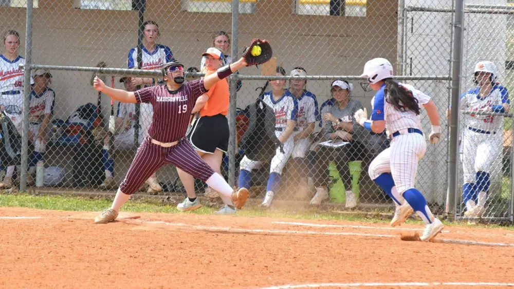 dsc_5194-e1774204264297588686