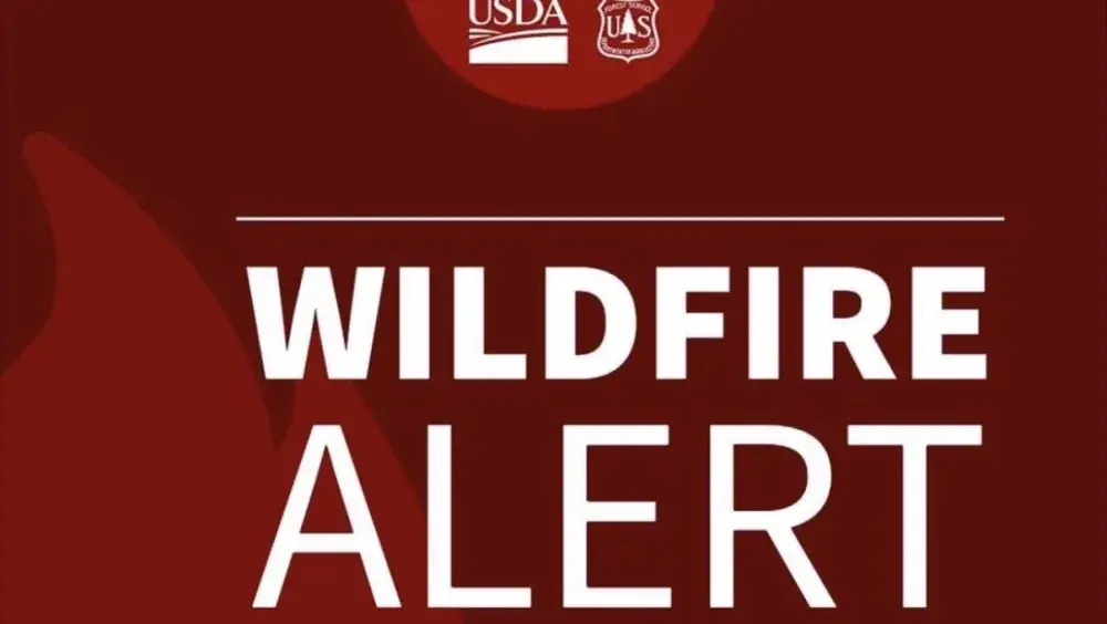 photo-mar-29-2026-2-07-18-pm-jpg