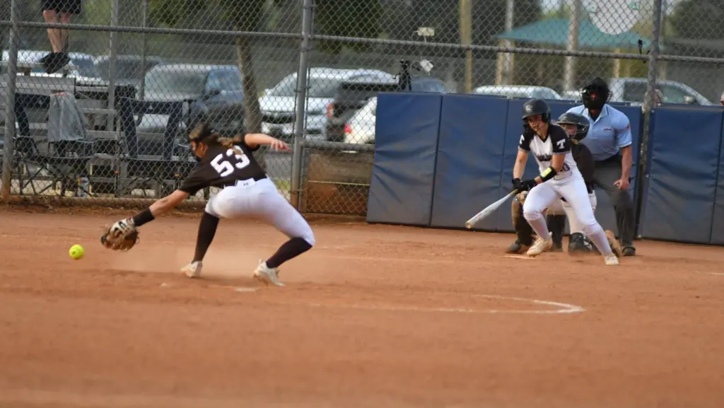 dsc_0084-e1775216205729601689