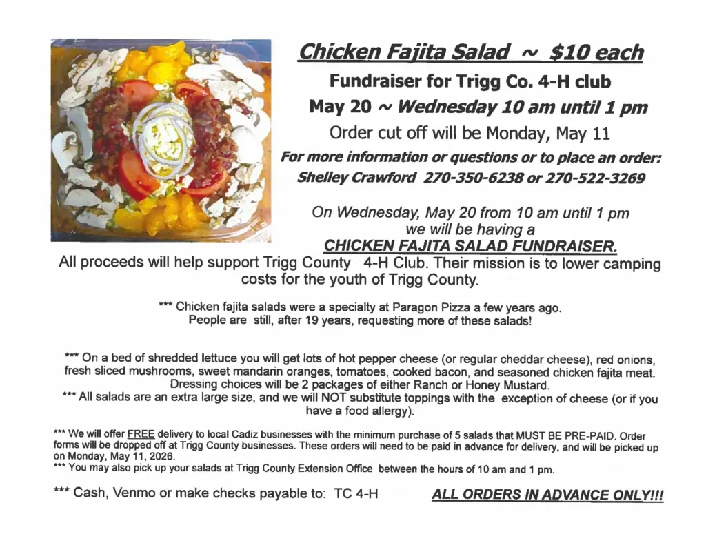 4-h-fundraiser-fajita-salad-png