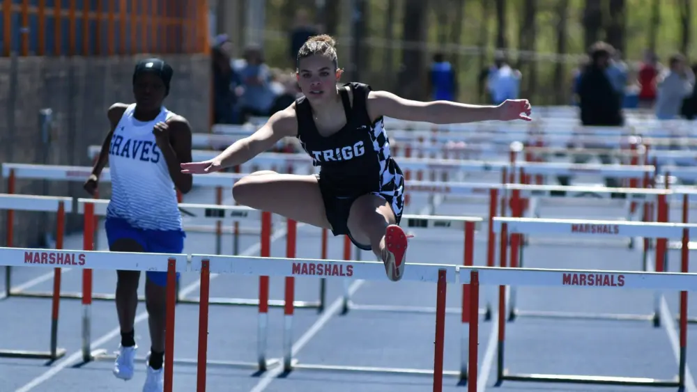 dsc_7731-e1776912428294652467