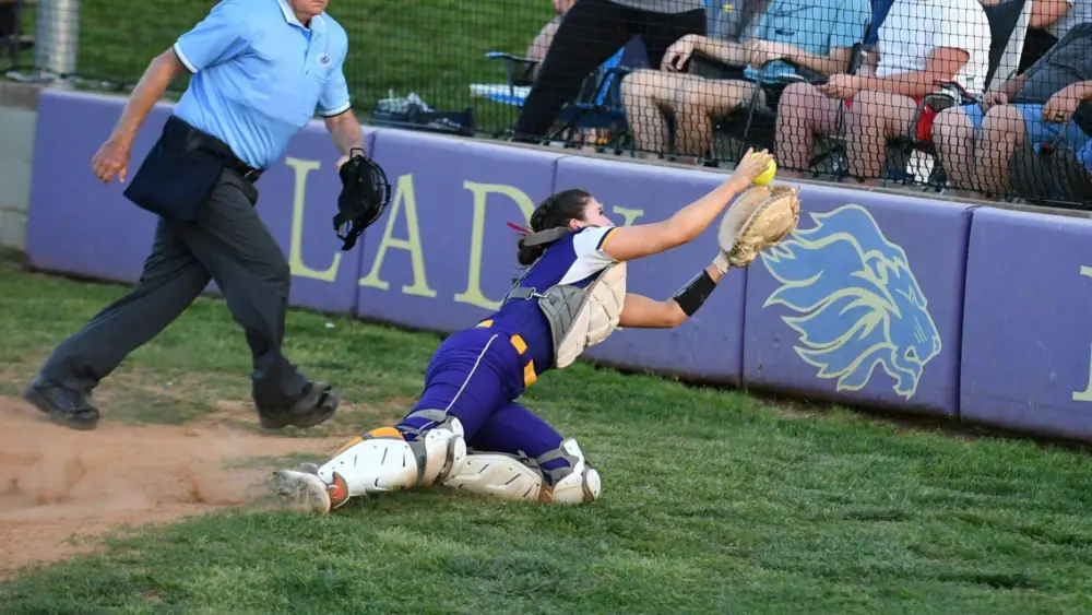 dsc_6376-e1776980036258156550