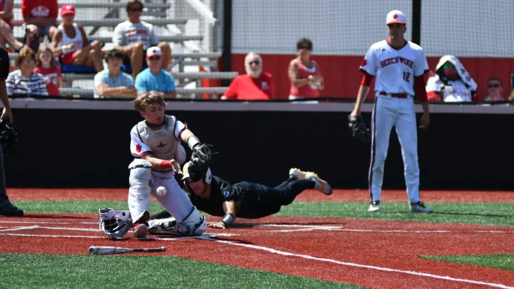 dsc_8004-e1777342642920363157