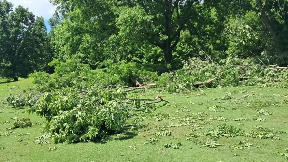 resized_20250517_112137_1747507536597-jpeg