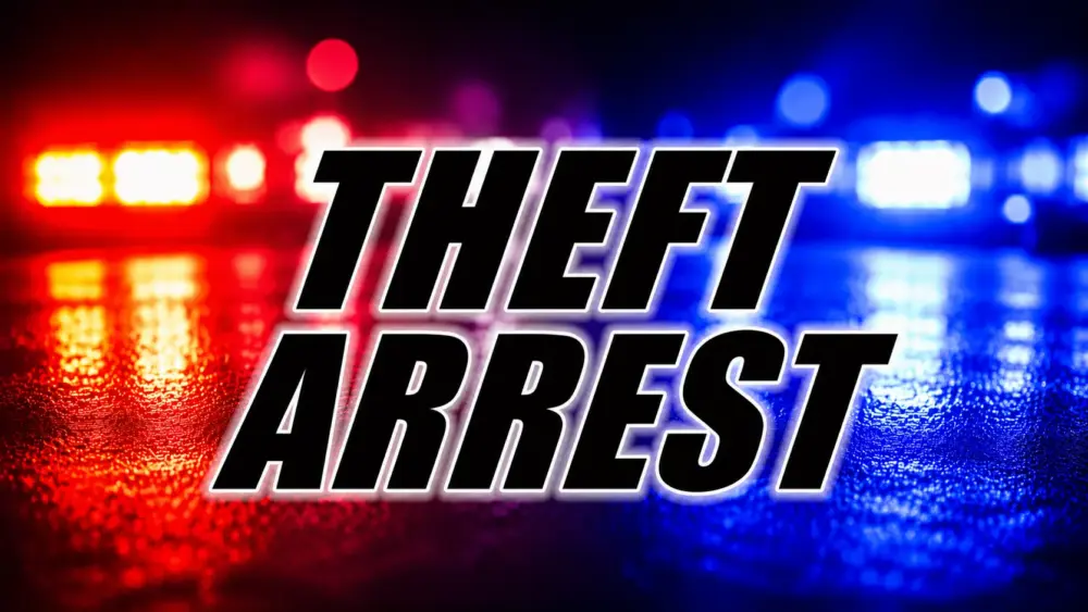 theft-arrest-png-2