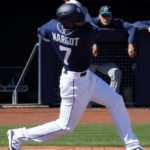 tmpbcd62eb1-fe9c-44cd-9d73-6abb3f37e854-jpg