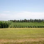 isu-northeast-research-and-demonstration-farm-near-nashua