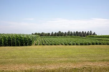 isu-northeast-research-and-demonstration-farm-near-nashua