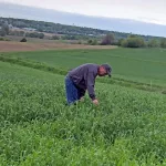 farmer-scouting-a-crop-field