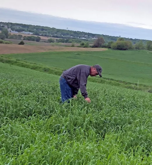 farmer-scouting-a-crop-field