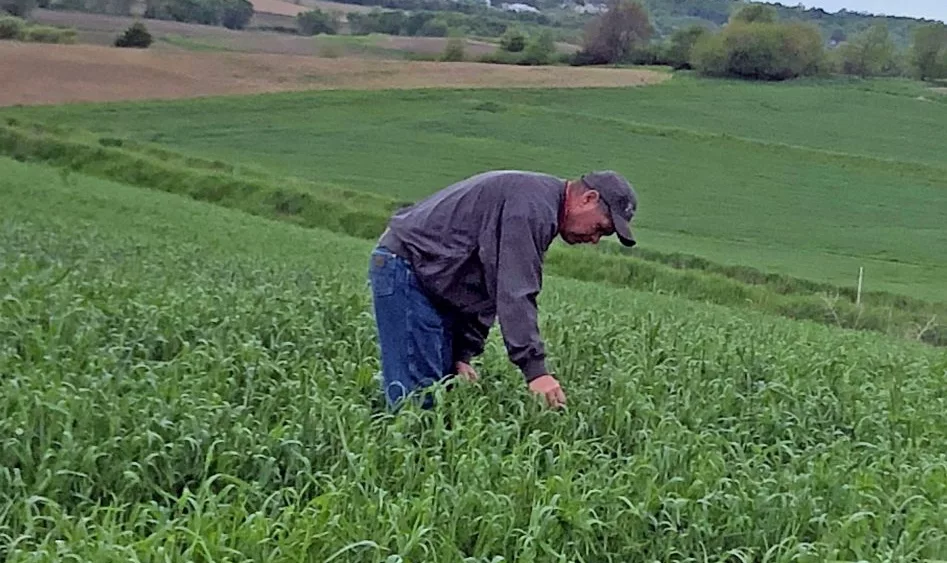 farmer-scouting-a-crop-field