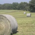 haybales-in-a-field