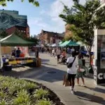 farmers-market-general-picture