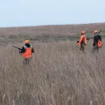 iowa-pheasant-hunting-season-2024