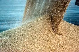 grain-being-poured