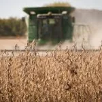 iowa-soybeans-being-harvested
