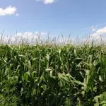 iowa-department-of-agriculture-2