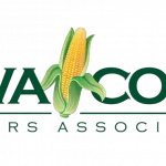 iowa-corn