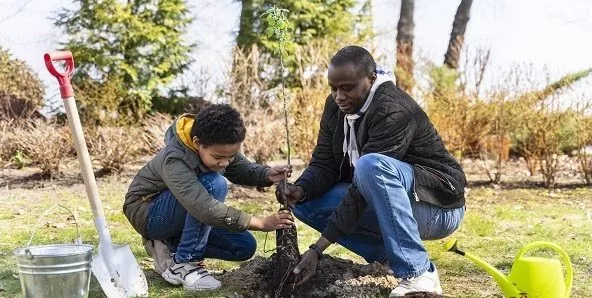 tree-planting