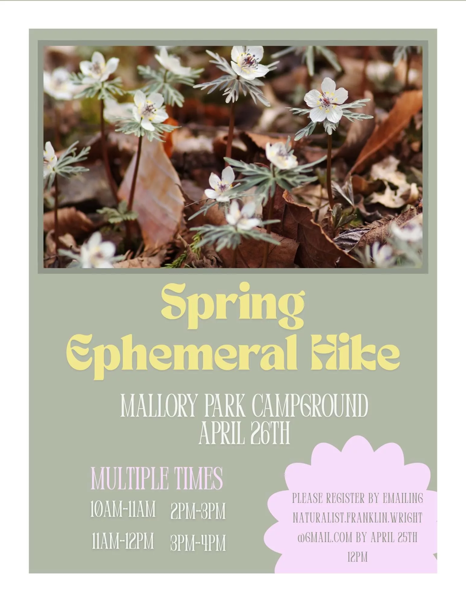 484994140_981425044126184_7698163359715020419_n