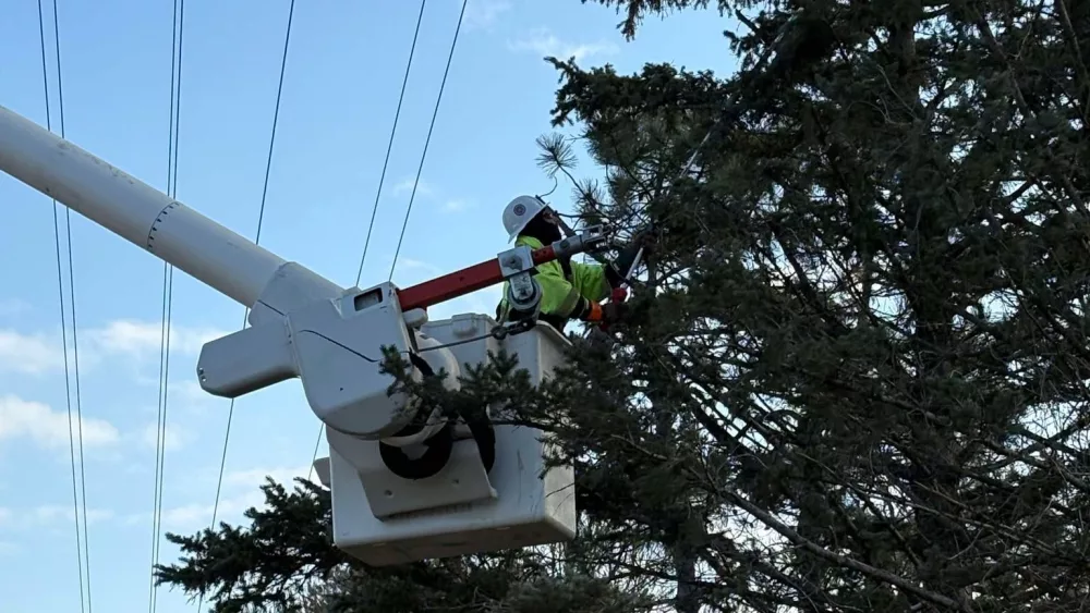 franklin-rec-tree-trimming