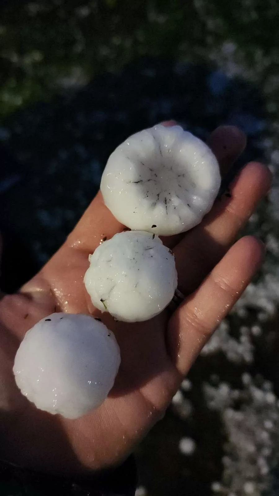 hampton-hail-4-18-25