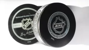 Official game puck from NHL^ National hockey league^ USA.