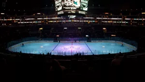 pro ice hokey rink lit up at nighttime