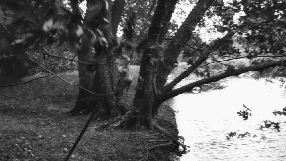 image-from-the-gray-short-film