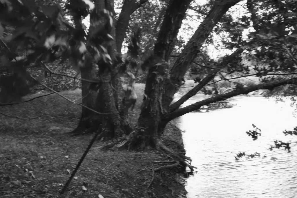 image-from-the-gray-short-film