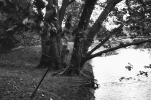 image-from-the-gray-short-film