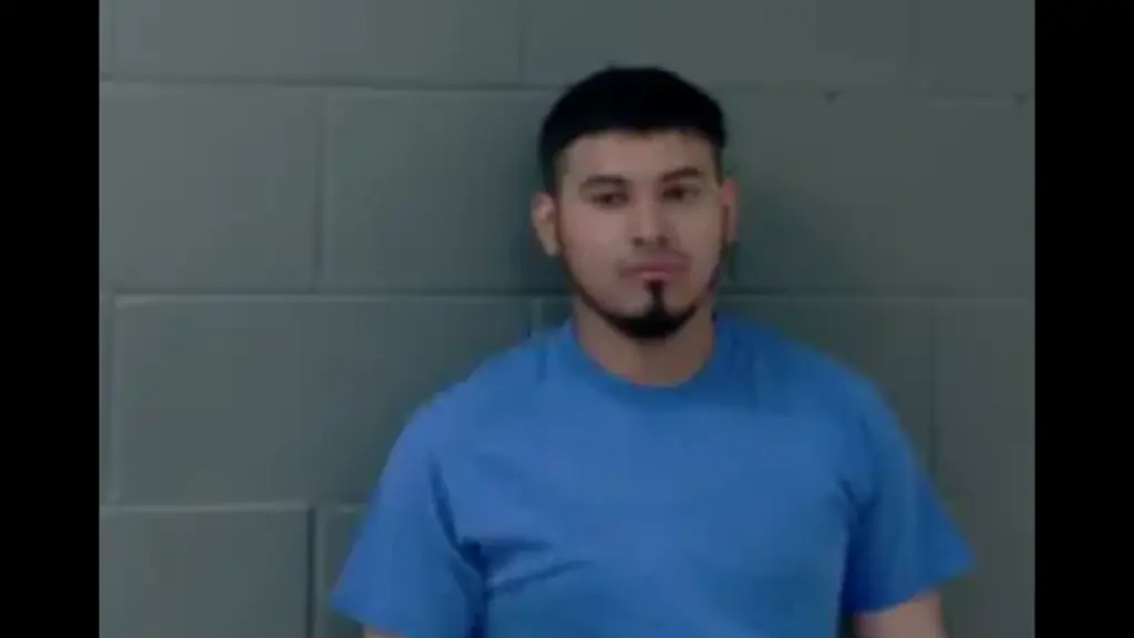 untitled-design-12-2