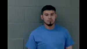 untitled-design-12-2