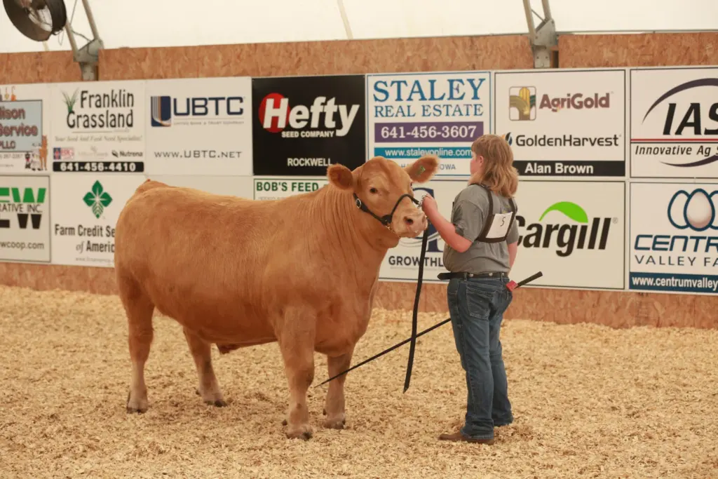 tate-lundt-and-pablo-2025