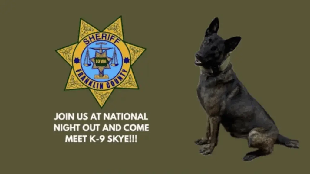 untitled-design-23-2