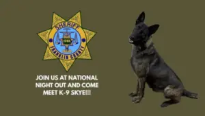 untitled-design-23-2