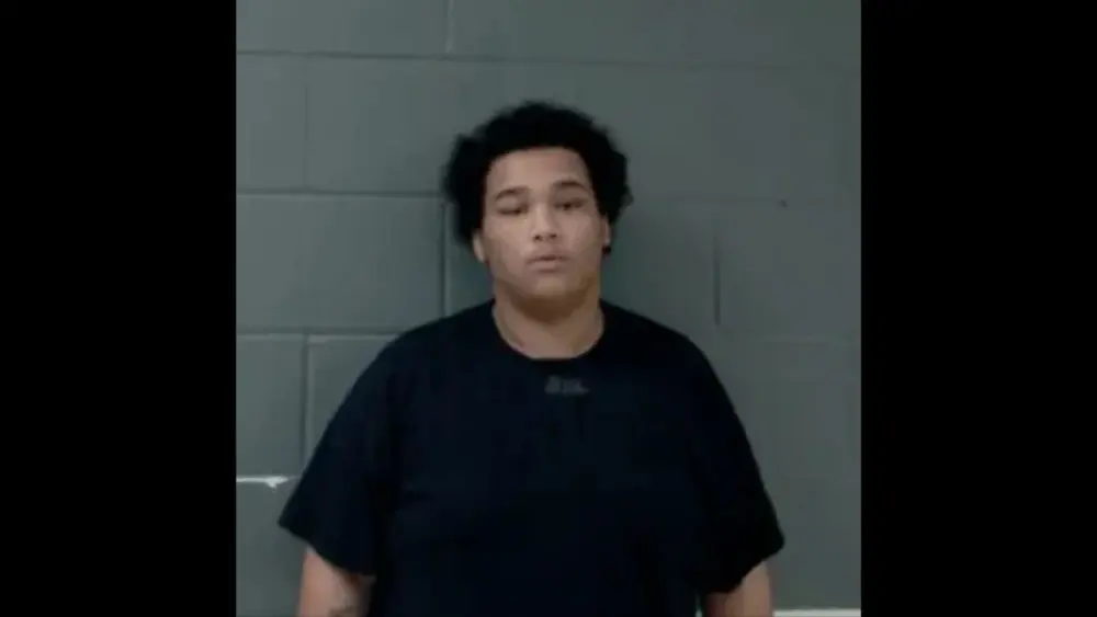 untitled-design-19-2