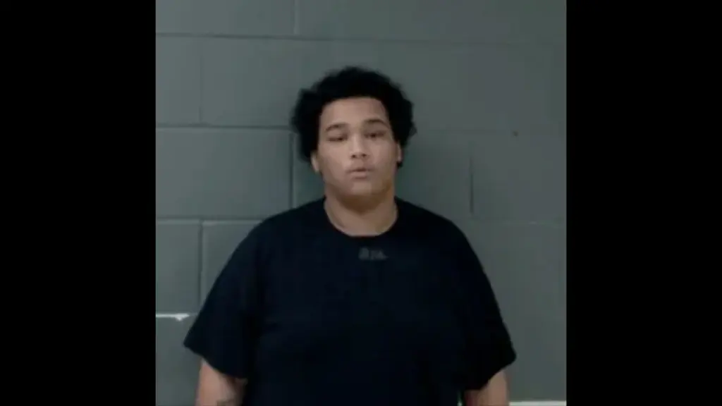 untitled-design-19-2