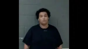 untitled-design-19-2