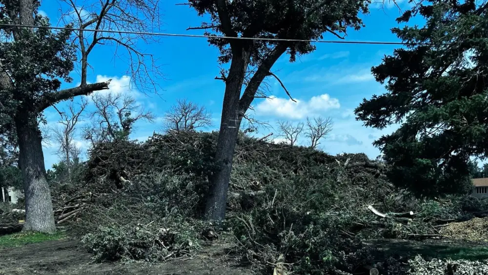rockwell-tree-debris-drop-off