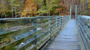 Horizontal perspective shot of suspension walking bridge over stream at Devil's Den State Park in Arkansas.